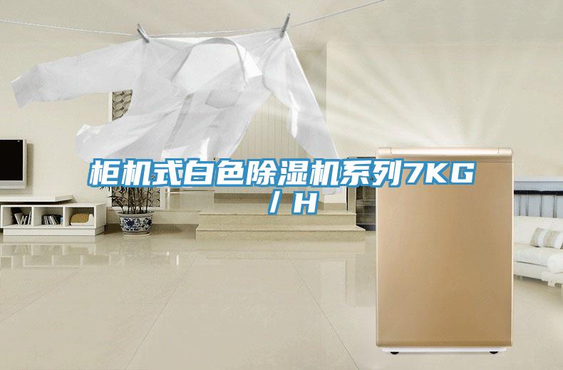 櫃機式白色香蕉视频国产係列7KG／H