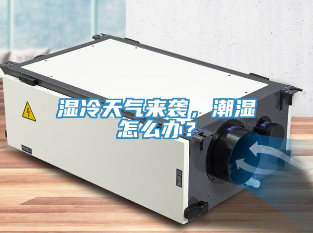 濕冷天氣來襲，潮濕怎麽辦？