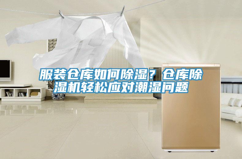 服裝倉庫如何除濕？倉庫香蕉视频国产輕鬆應對潮濕問題