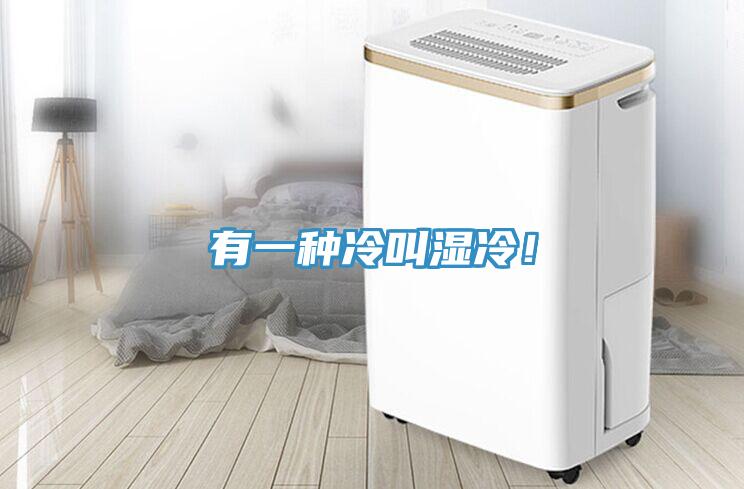 有一種冷叫濕冷！