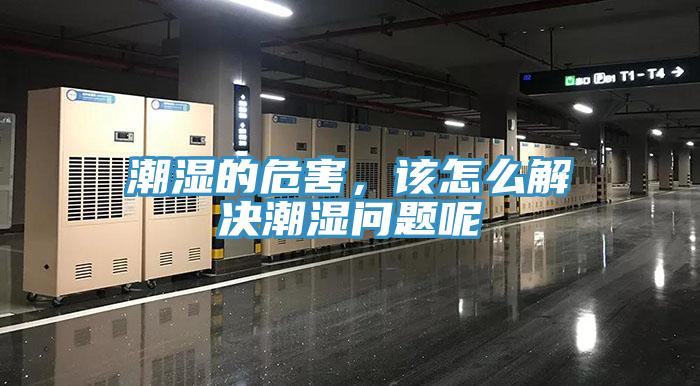 潮濕的危害，該怎麽解決潮濕問題呢