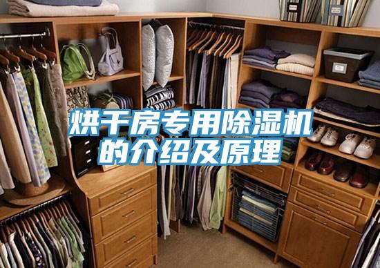 烘幹房專用香蕉视频国产的介紹及原理