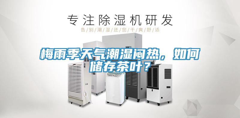 梅雨季天氣潮濕悶熱，如何儲存茶葉？