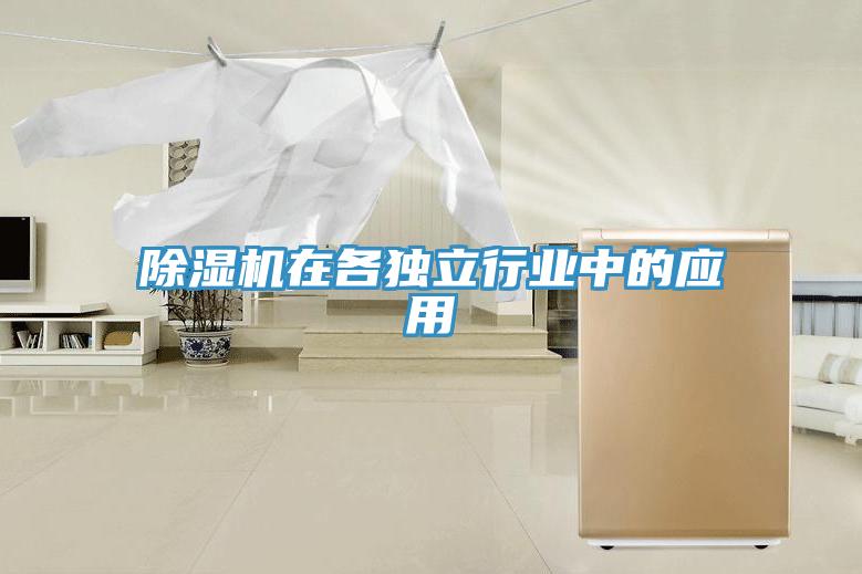 香蕉视频国产在各獨立行業中的應用