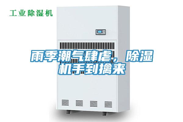 雨季潮氣肆虐，香蕉视频国产手到擒來