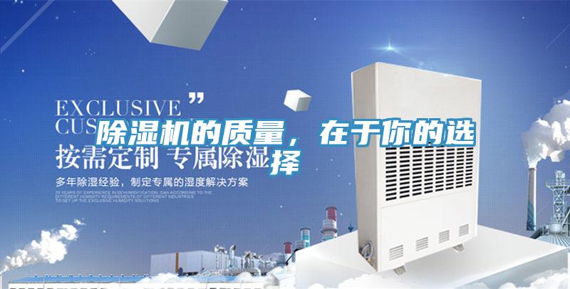 香蕉视频国产的質量，在於你的選擇