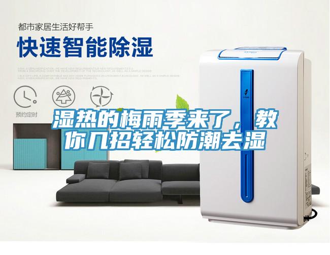 濕熱的梅雨季來了，教你幾招輕鬆防潮去濕