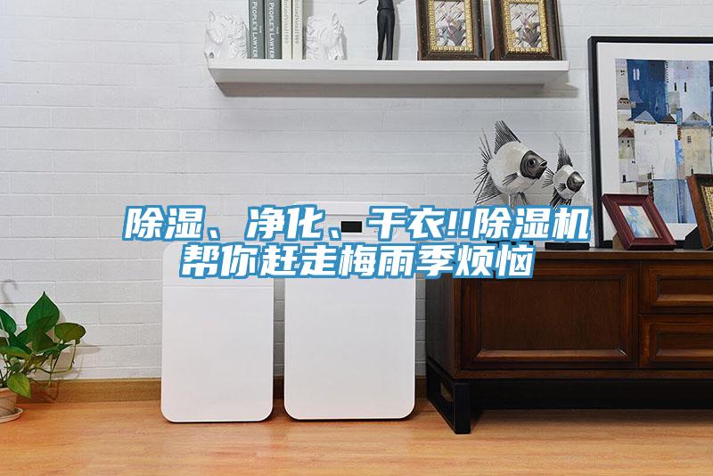除濕、淨化、幹衣!!香蕉视频国产幫你趕走梅雨季煩惱