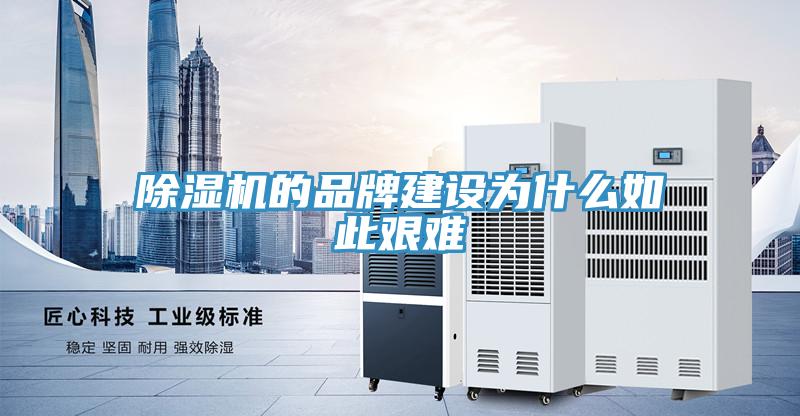 香蕉视频国产的品牌建設為什麽如此艱難