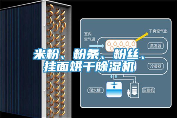 米粉、粉條、粉絲、掛麵烘幹香蕉视频国产