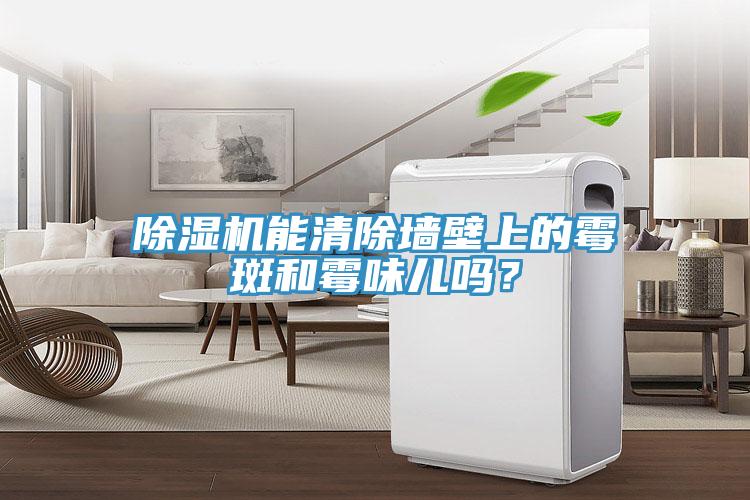 香蕉视频国产能清除牆壁上的黴斑和黴味兒嗎？