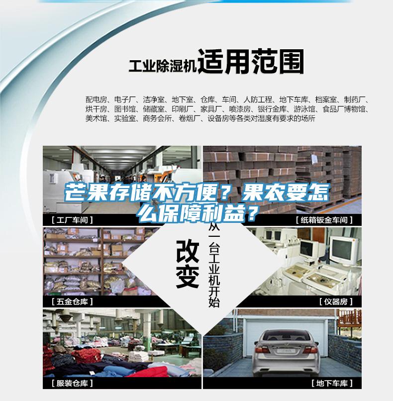 芒果存儲不方便？果農要怎麽保障利益？