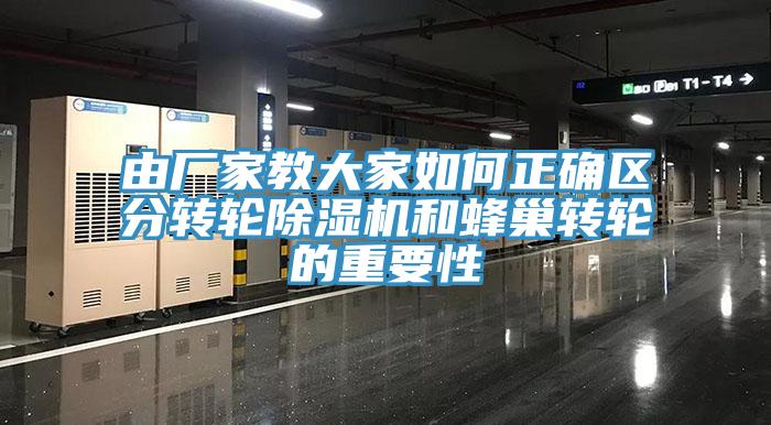 由廠家教大家如何正確區分轉輪香蕉视频国产和蜂巢轉輪的重要性