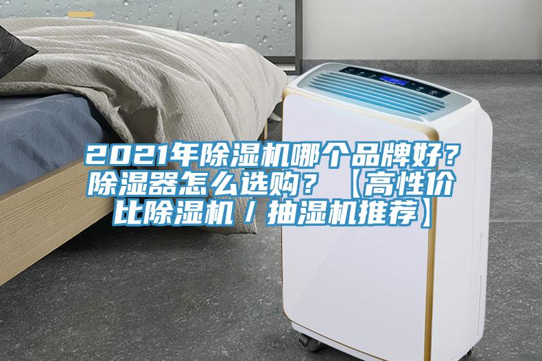 2021年香蕉视频国产哪個品牌好？除濕器怎麽選購？【高性價比香蕉视频国产／抽濕機推薦】