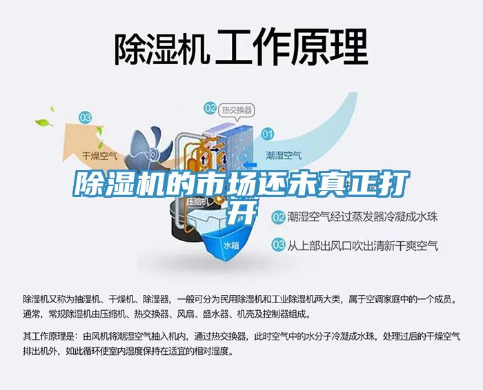 香蕉视频国产的市場還未真正打開