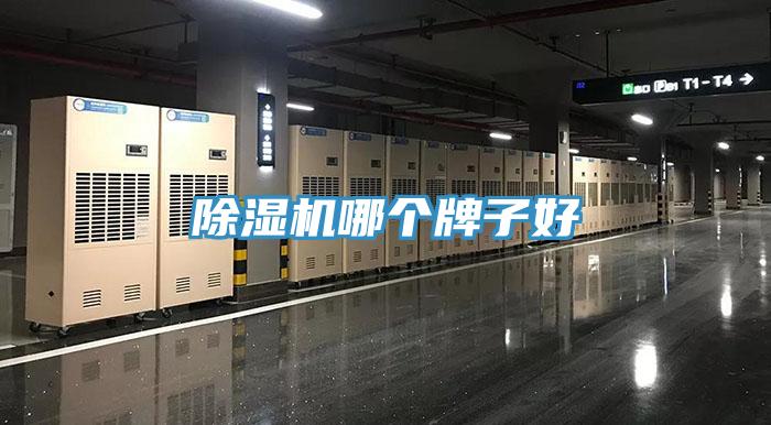 香蕉视频国产哪個牌子好
