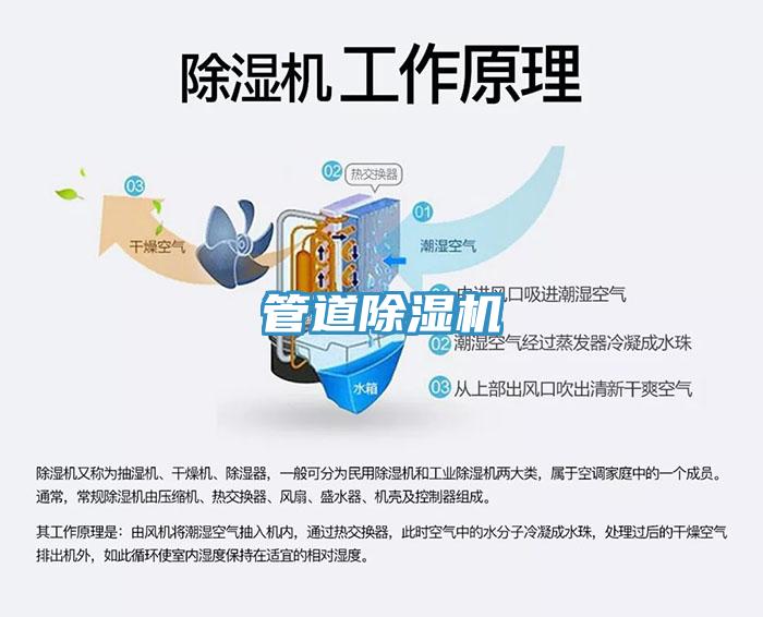 管道香蕉视频国产