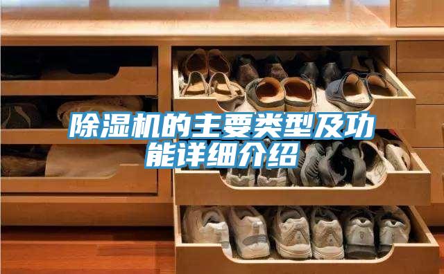 香蕉视频国产的主要類型及功能詳細介紹