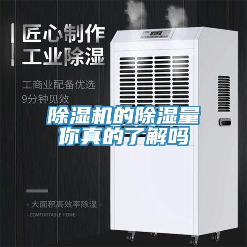 香蕉视频国产的除濕量你真的了解嗎