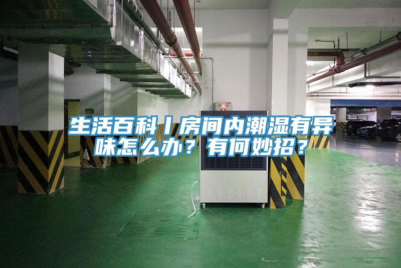 生活百科丨房間內潮濕有異味怎麽辦？有何妙招？