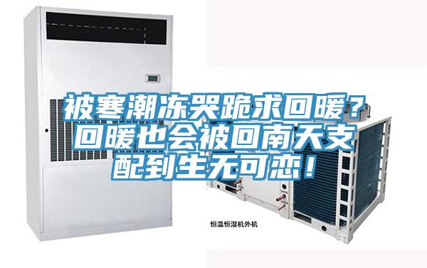 被寒潮凍哭跪求回暖？回暖也會被回南天支配到生無可戀！