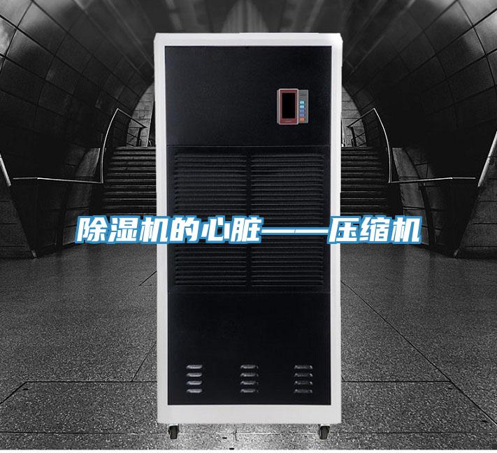 香蕉视频国产的心髒——壓縮機