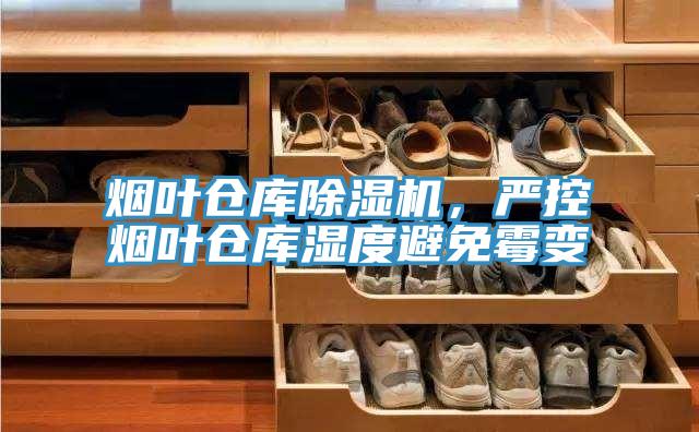 煙葉倉庫香蕉视频国产，嚴控煙葉倉庫濕度避免黴變