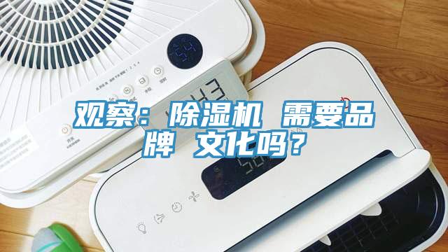 觀察：香蕉视频国产 需要品牌 文化嗎？