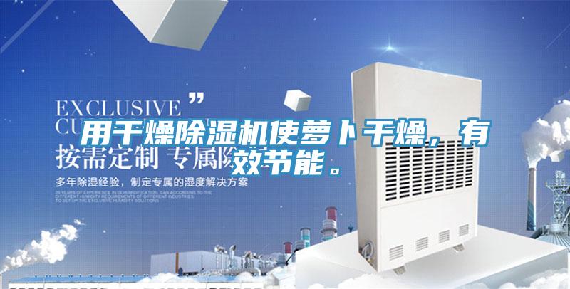 用幹燥香蕉视频国产使蘿卜幹燥，有效節能。