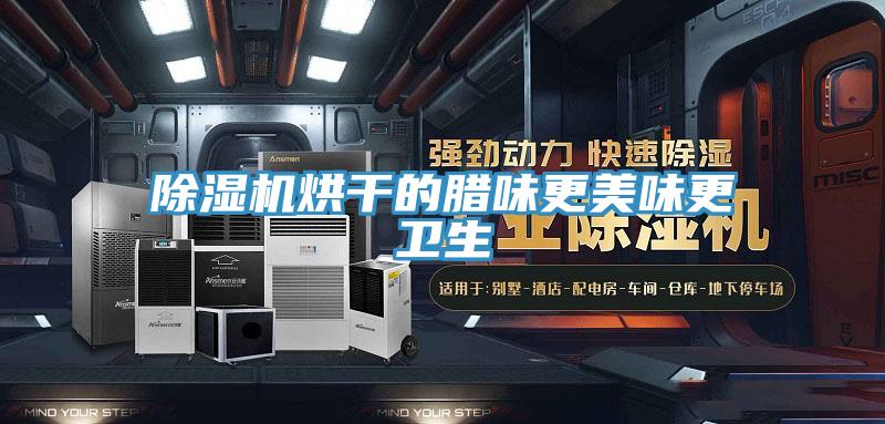 香蕉视频国产烘幹的臘味更美味更衛生