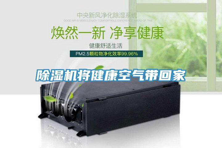 香蕉视频国产將健康空氣帶回家