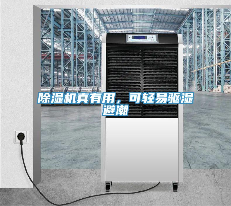 香蕉视频国产真有用，可輕易驅濕避潮
