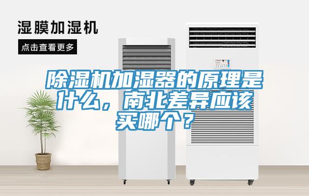 香蕉视频国产加濕器的原理是什麽，南北差異應該買哪個？