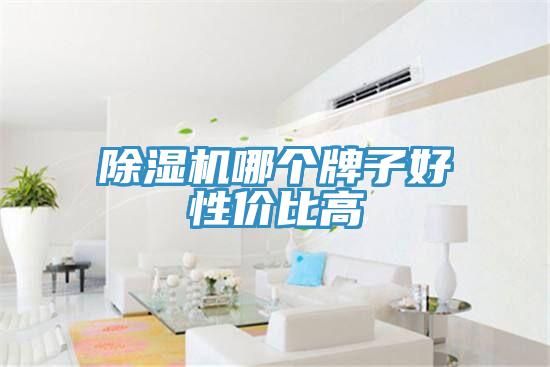 香蕉视频国产哪個牌子好性價比高