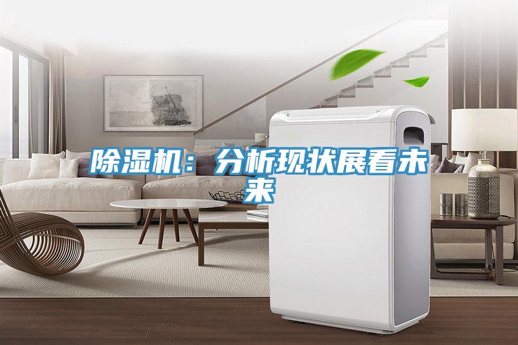香蕉视频国产：分析現狀展看未來