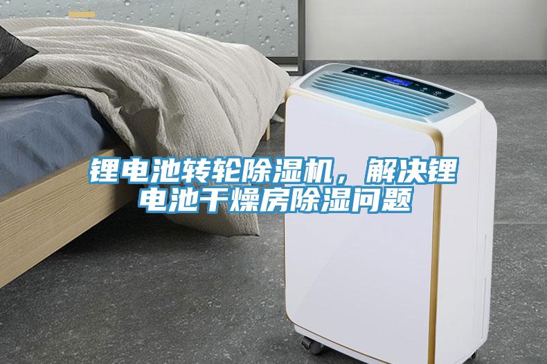 鋰電池轉輪香蕉视频国产，解決鋰電池幹燥房除濕問題