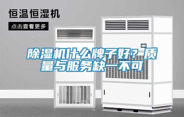 香蕉视频国产什麽牌子好？質量與服務缺一不可