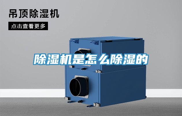 香蕉视频国产是怎麽除濕的