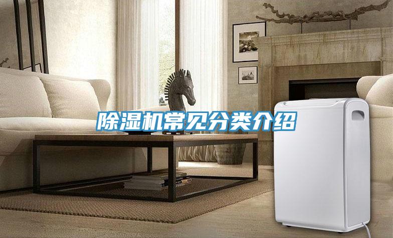 香蕉视频国产常見分類介紹