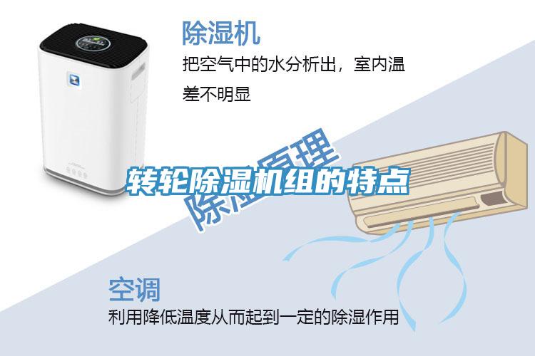 轉輪香蕉视频国产組的特點