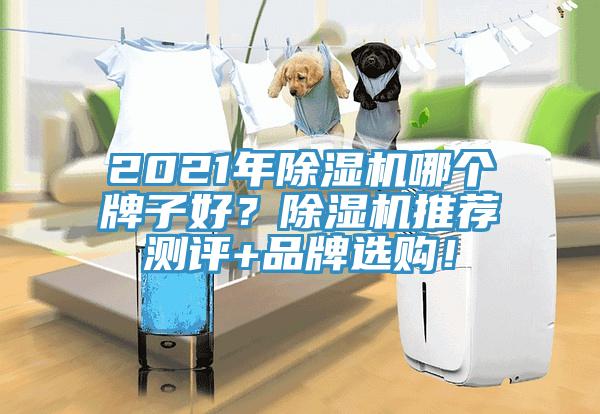 2021年香蕉视频国产哪個牌子好？香蕉视频国产推薦測評+品牌選購！