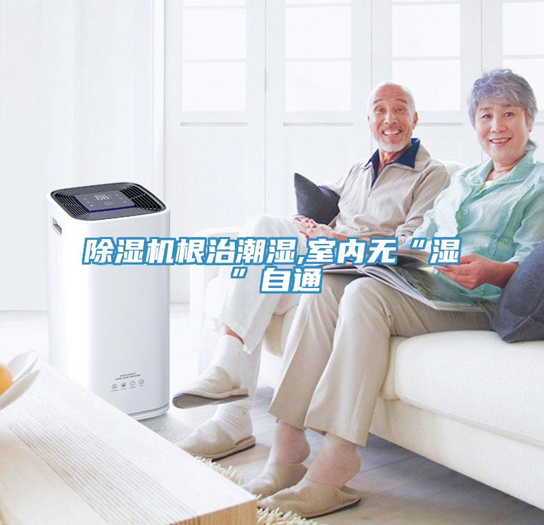 香蕉视频国产根治潮濕,室內無“濕”自通