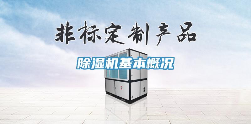 香蕉视频国产基本概況