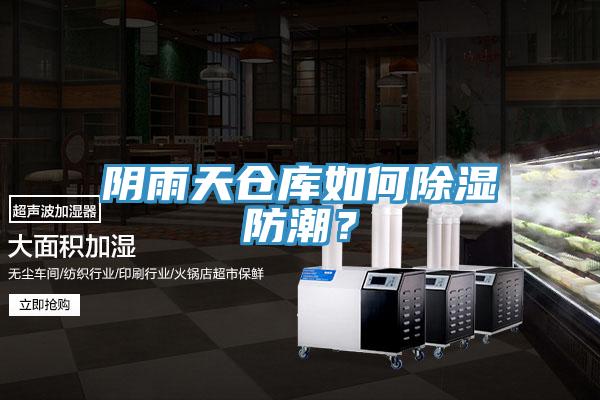 陰雨天倉庫如何除濕防潮？