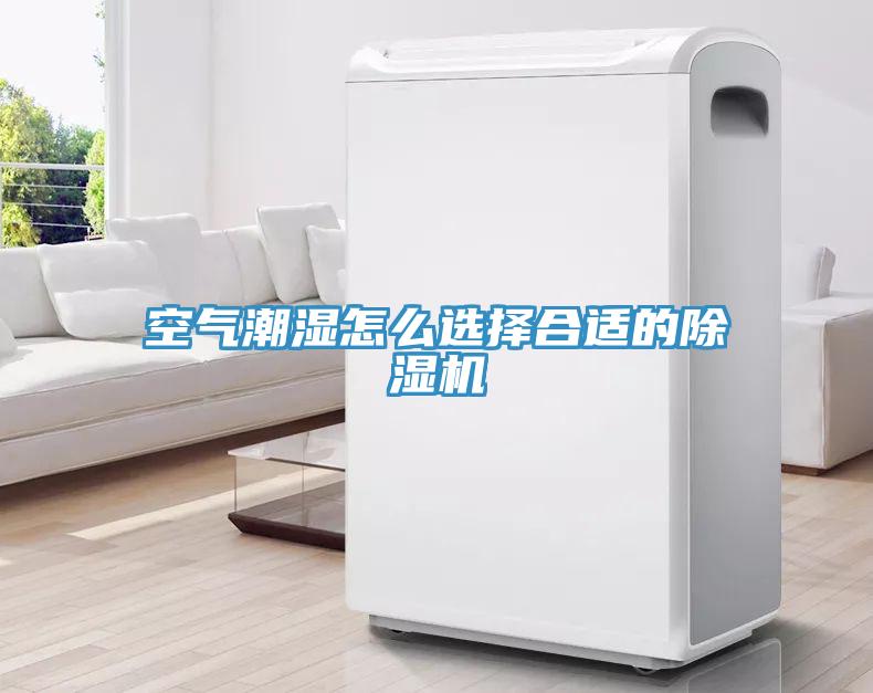 空氣潮濕怎麽選擇合適的香蕉视频国产