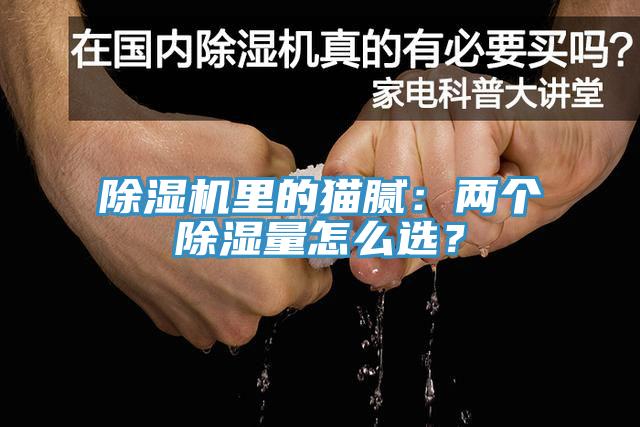 香蕉视频国产裏的貓膩：兩個除濕量怎麽選？