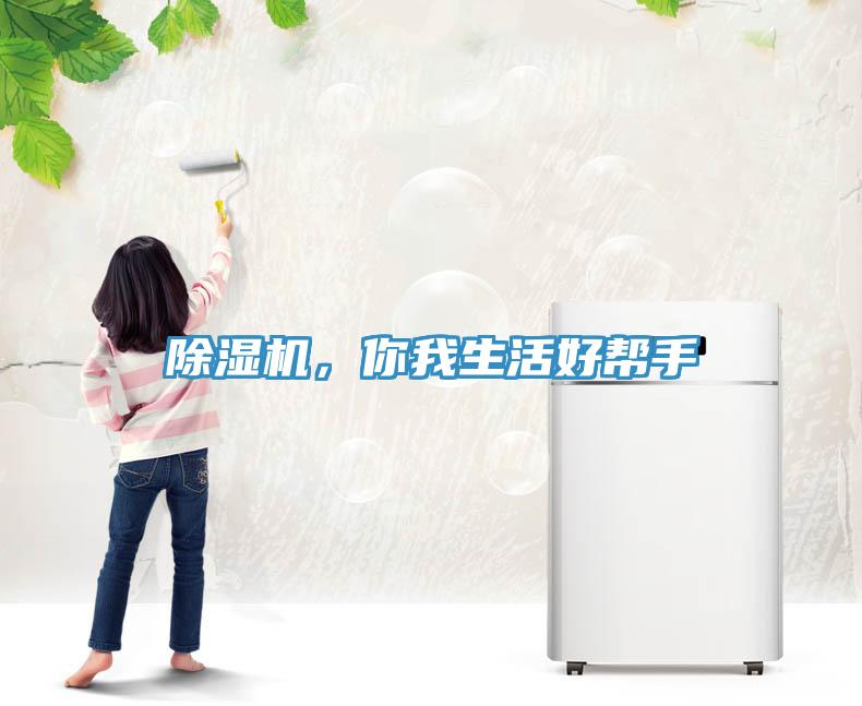 香蕉视频国产，你我生活好幫手