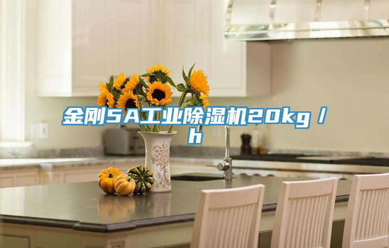 金剛5A工業香蕉视频国产20kg／h