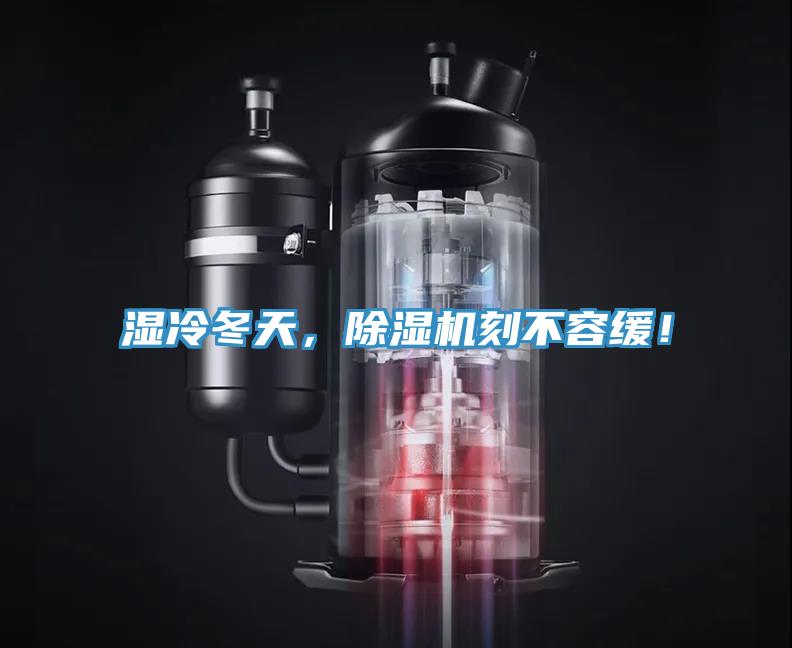 濕冷冬天，香蕉视频国产刻不容緩！