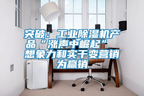 突破：工業香蕉视频国产產品“漲聲中崛起” 想象力和實幹變營銷為贏銷